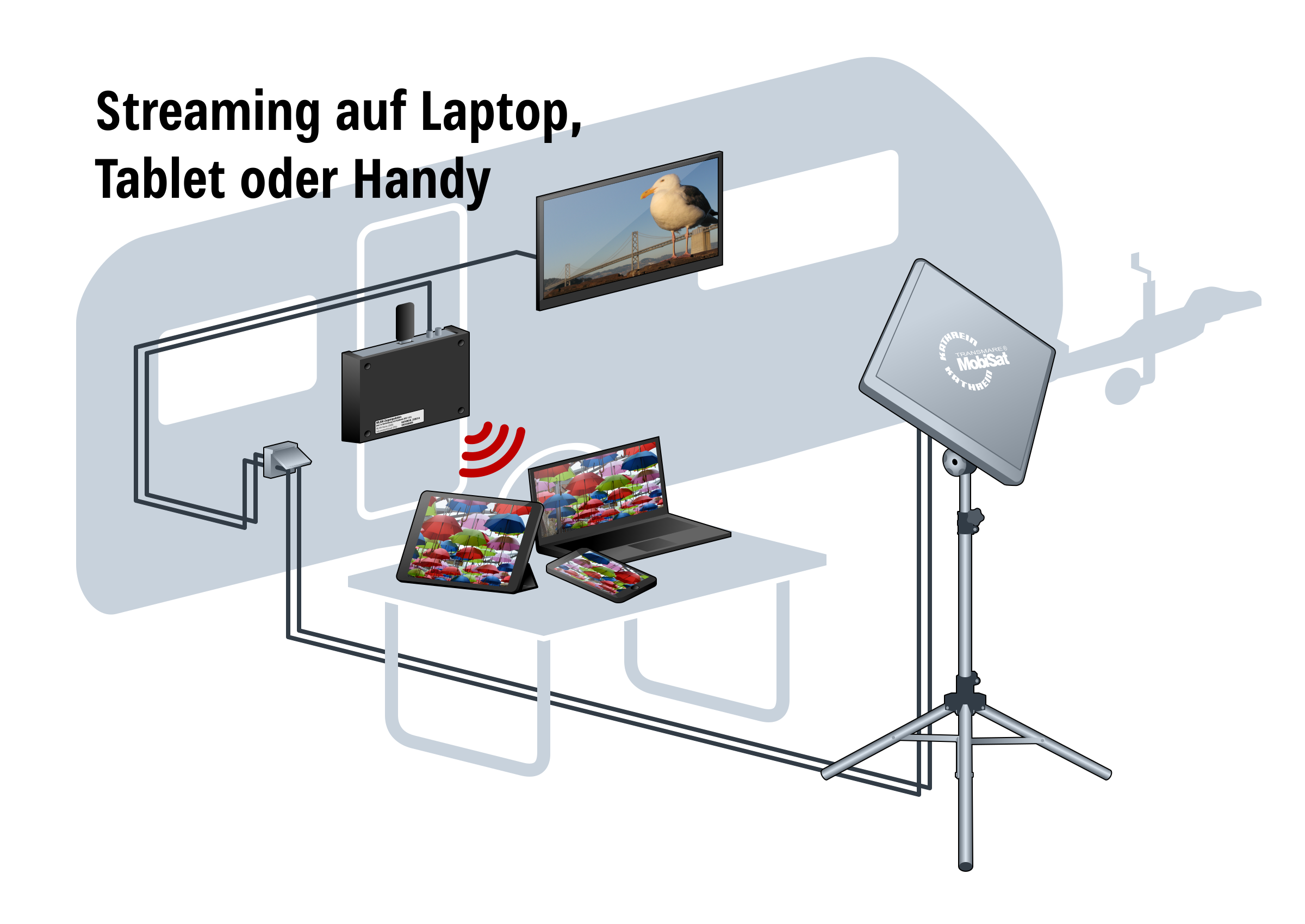 Kathrein HDS 166 plus Antennen Set mit Flachantenne BAS 66 (Twin-LNB), CAP-Konverter uvm.